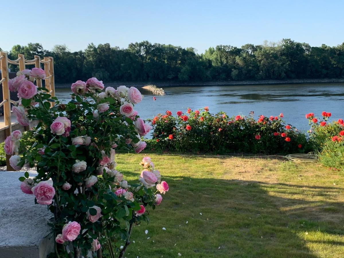 Maisons Au Bord De La Loire - Maison Paradis & Maison Bonheur Au 248 Riverside Le Fosse-Neuf Екстериор снимка